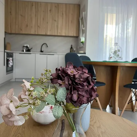 Appartement Ana *